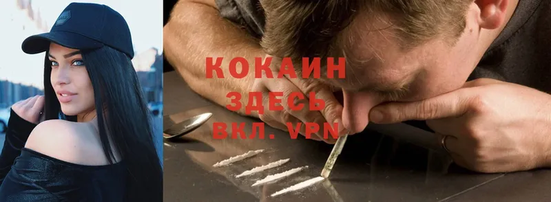 наркошоп  Алексеевка  Cocaine Fish Scale 